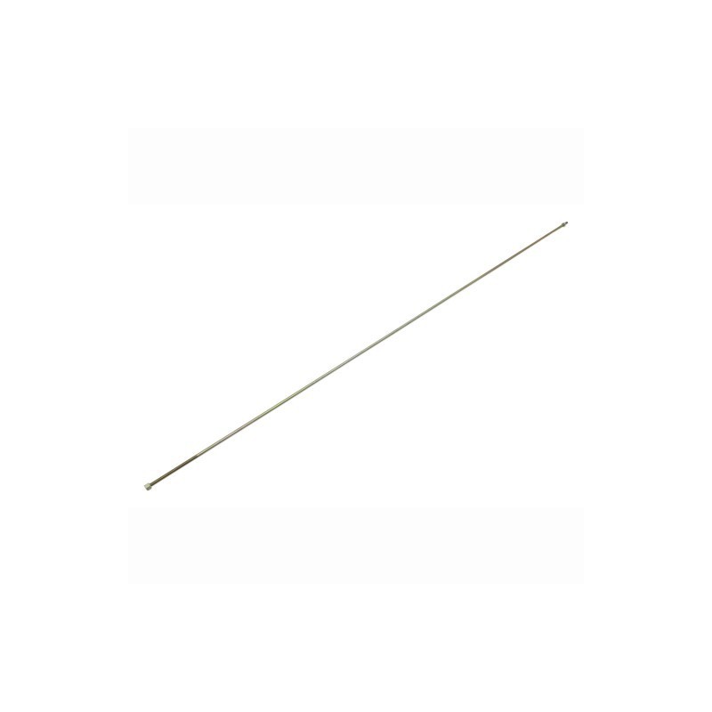 P05019