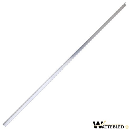 WT0639-01479